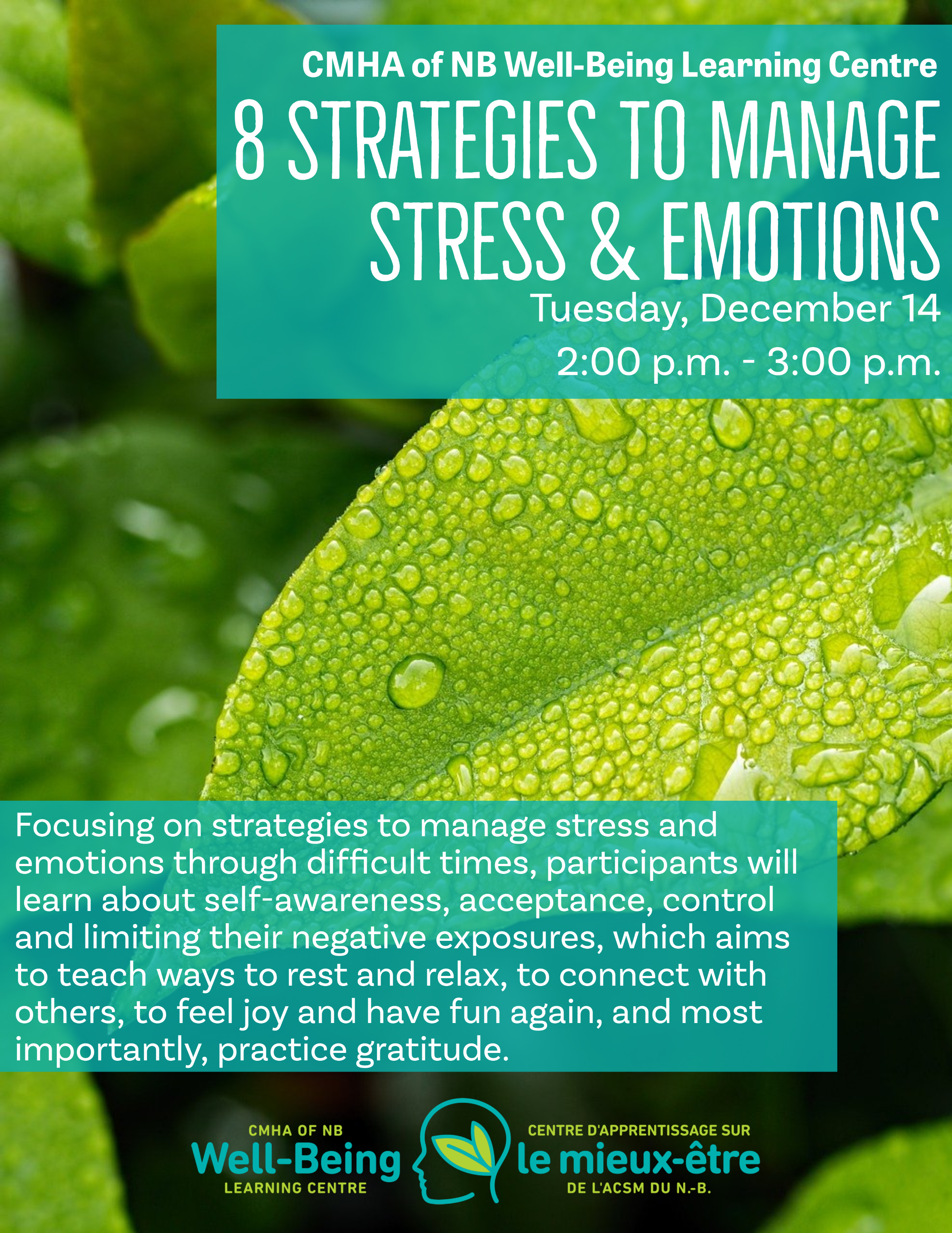 8 Strategies to Manage Stress and Emotions